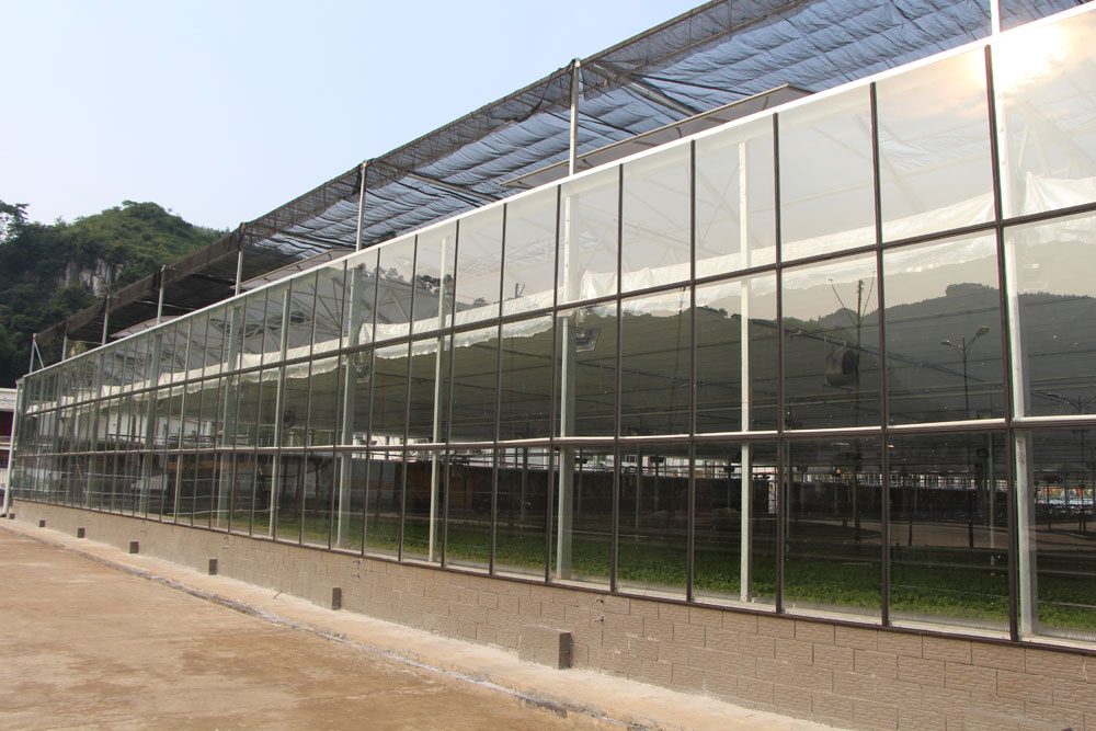 四川溫室大棚銷(xiāo)售